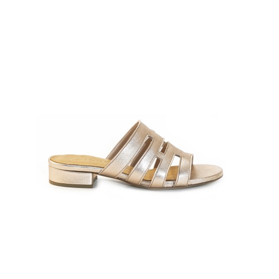 ΠΕΔΙΛΑ 2123 GOLD