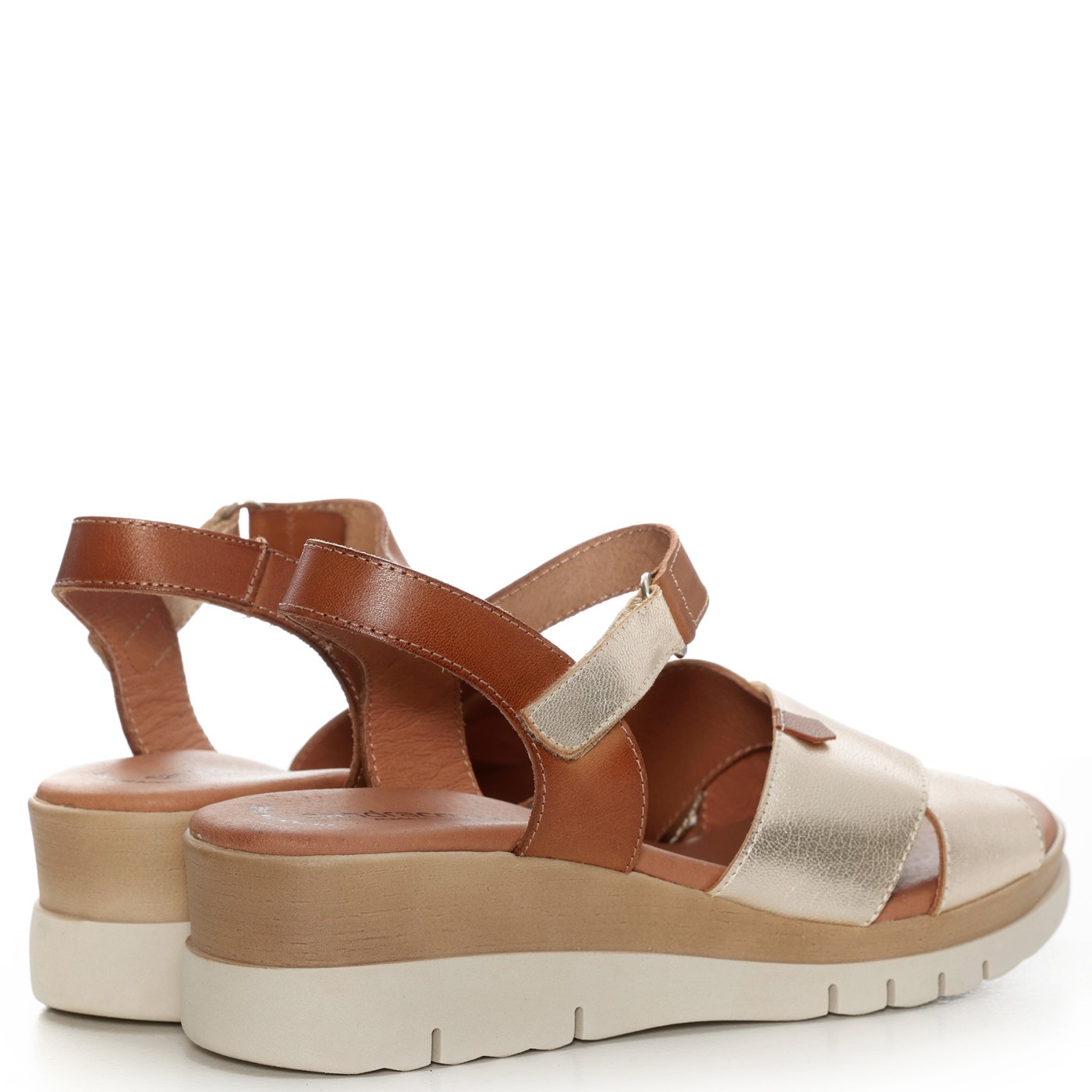 SANDRA COVES 5484 GOLDEN